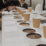 “OPC在古城大有可为”(图1)